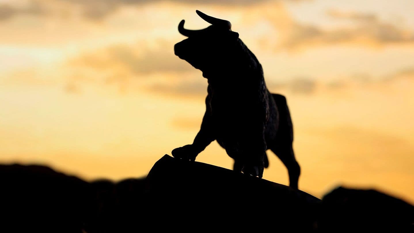 CDCROP: Bull Market (Kameleon007/Getty Images)