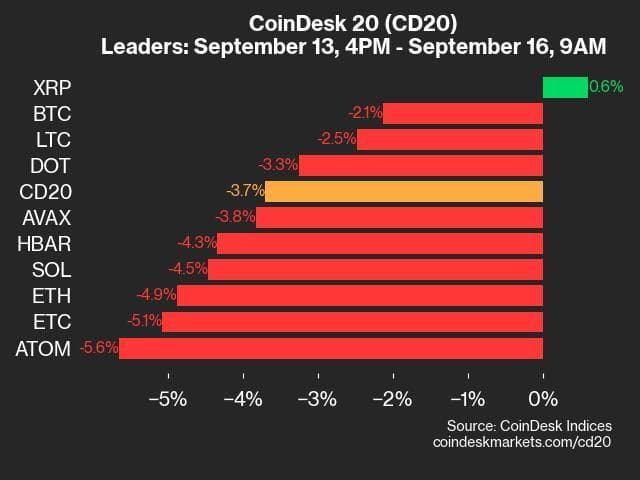 9am CoinDesk 20 Update for 2024-09-16: leaders