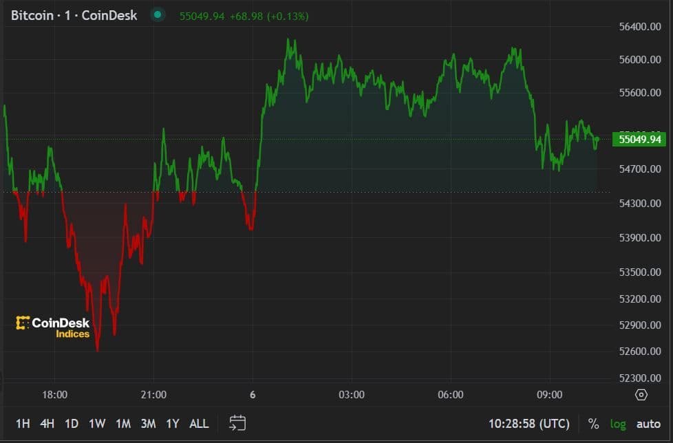 BTC price, FMA Aug. 6 2024 (CoinDesk)