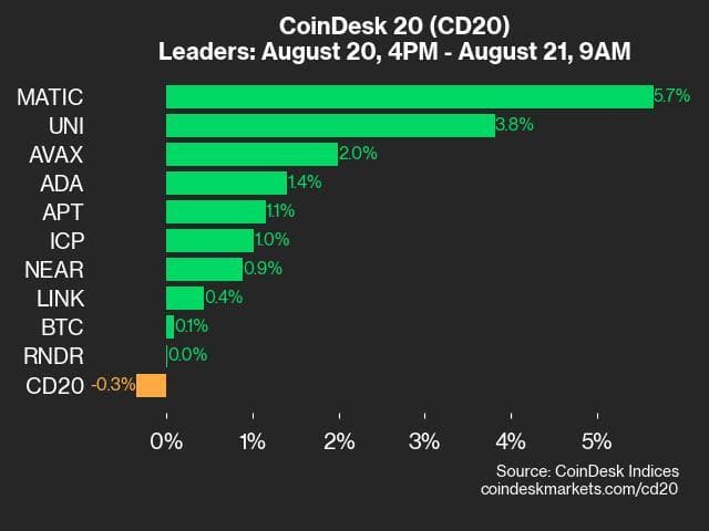 9am CoinDesk 20 Update for 2024-08-21: leaders