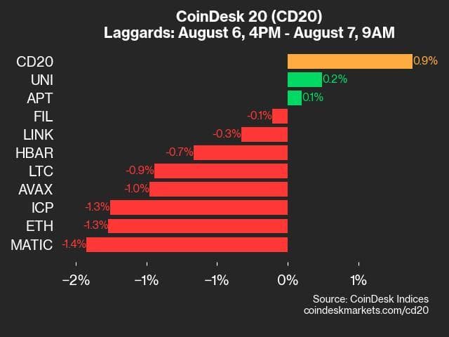 9am CoinDesk 20 Update for 2024-08-07: laggards