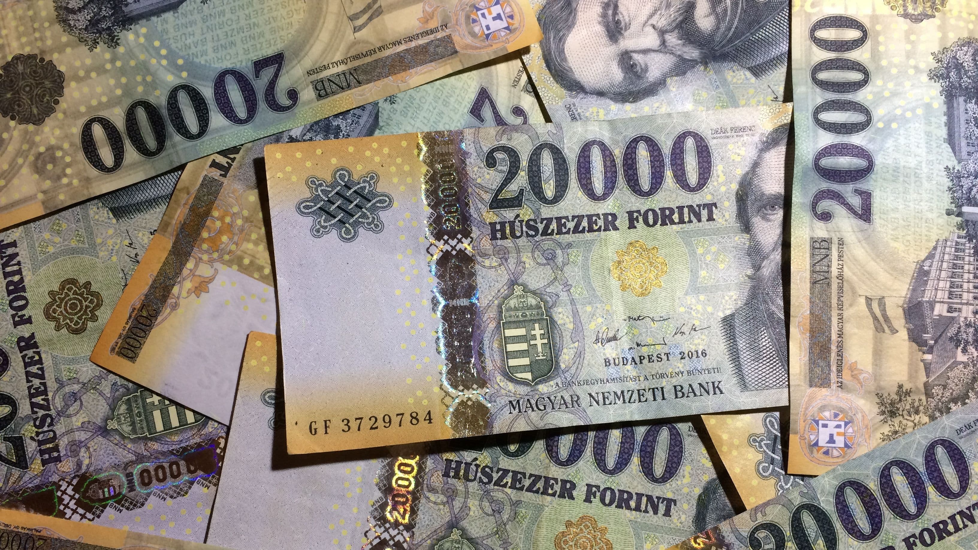 Hungary is considering whether to issue a digital forint (tomfield/Pixabay)