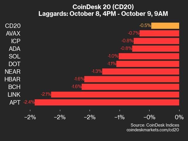 9am CoinDesk 20 Update for 2024-10-09: laggards