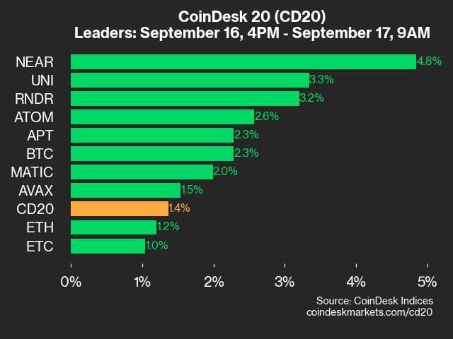 9am CoinDesk 20 Update for 2024-09-17: leaders