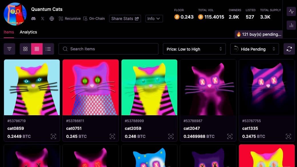 Quantum Cats for sale on Magic Eden NFT Marketplace (Magic Eden)