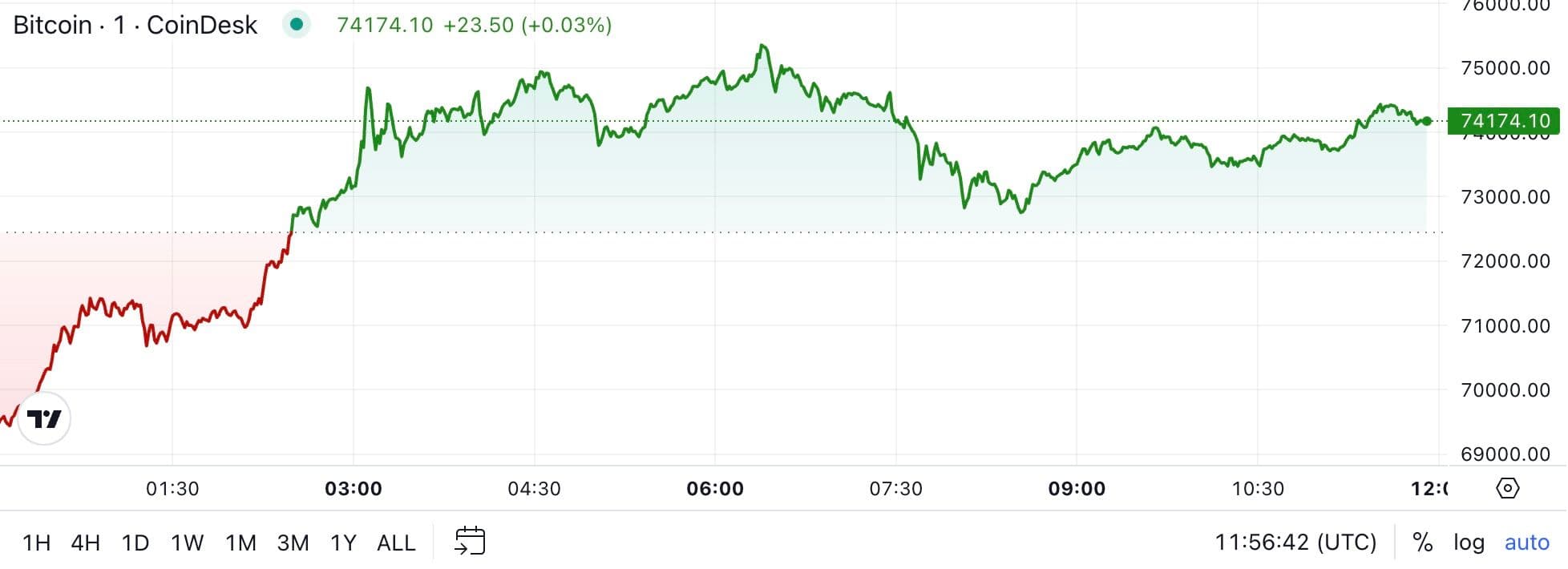 BTC price, Nov. 6 2024 (CoinDesk)