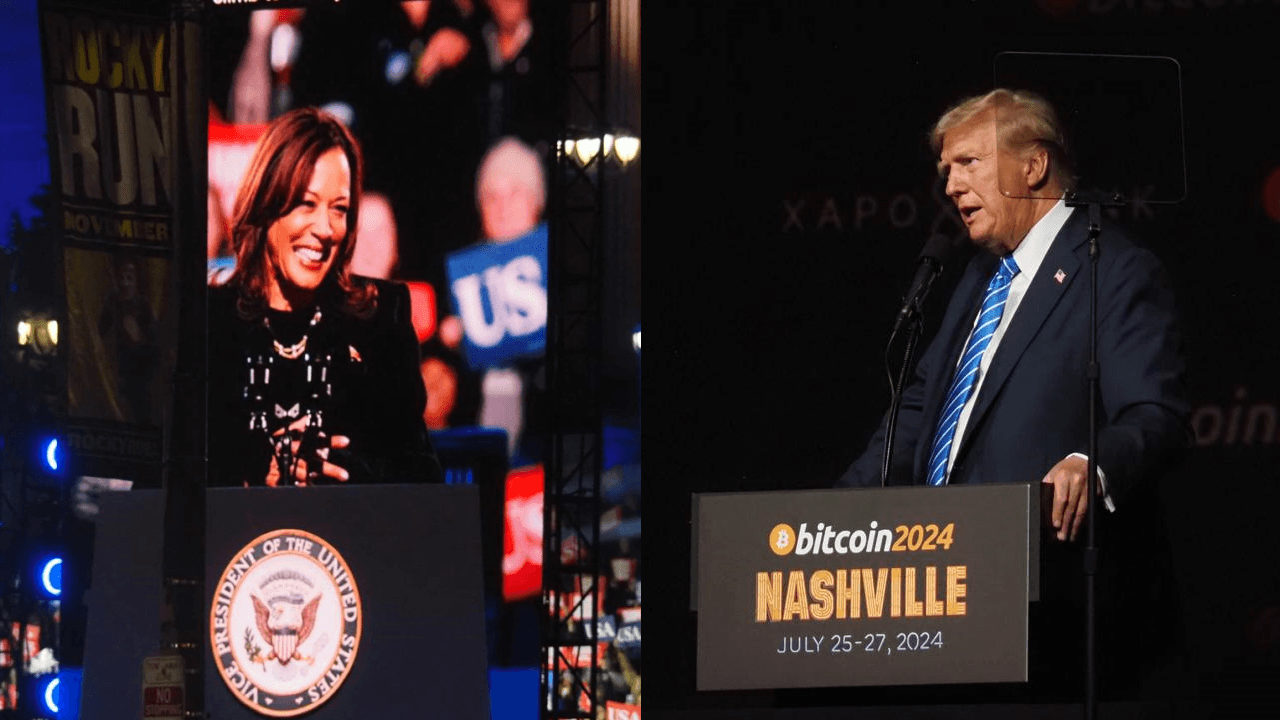 Vice President Kamala Harris and former President Donald Trump (Danny Nelson/CoinDesk)