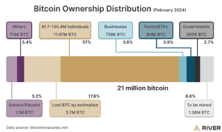 Bitcoin ownership distribution