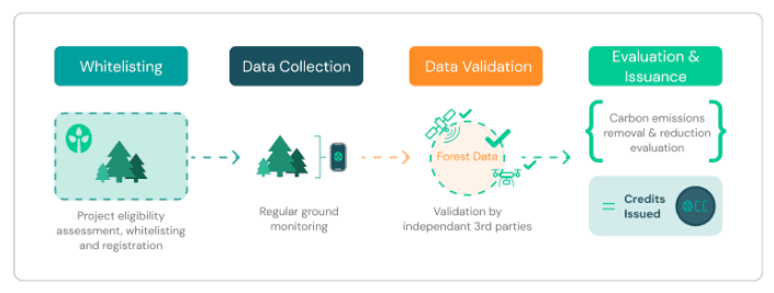 Illustration of steps for projects seeking carbon certification on OFP (Open Forest Protocol)