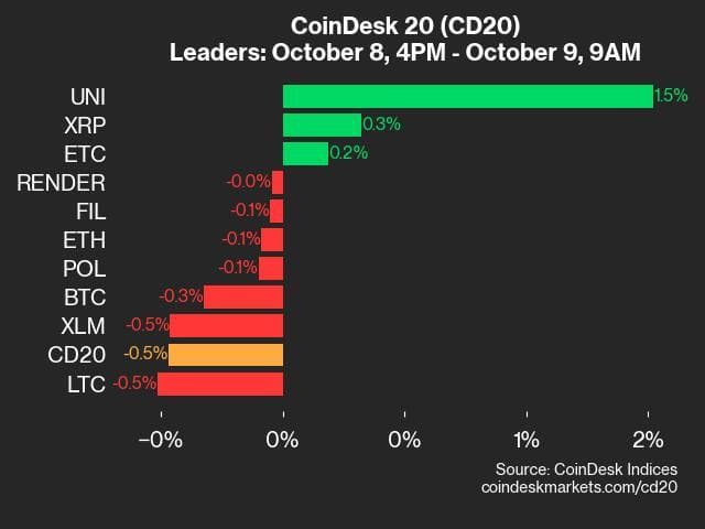 9am CoinDesk 20 Update for 2024-10-09: leaders