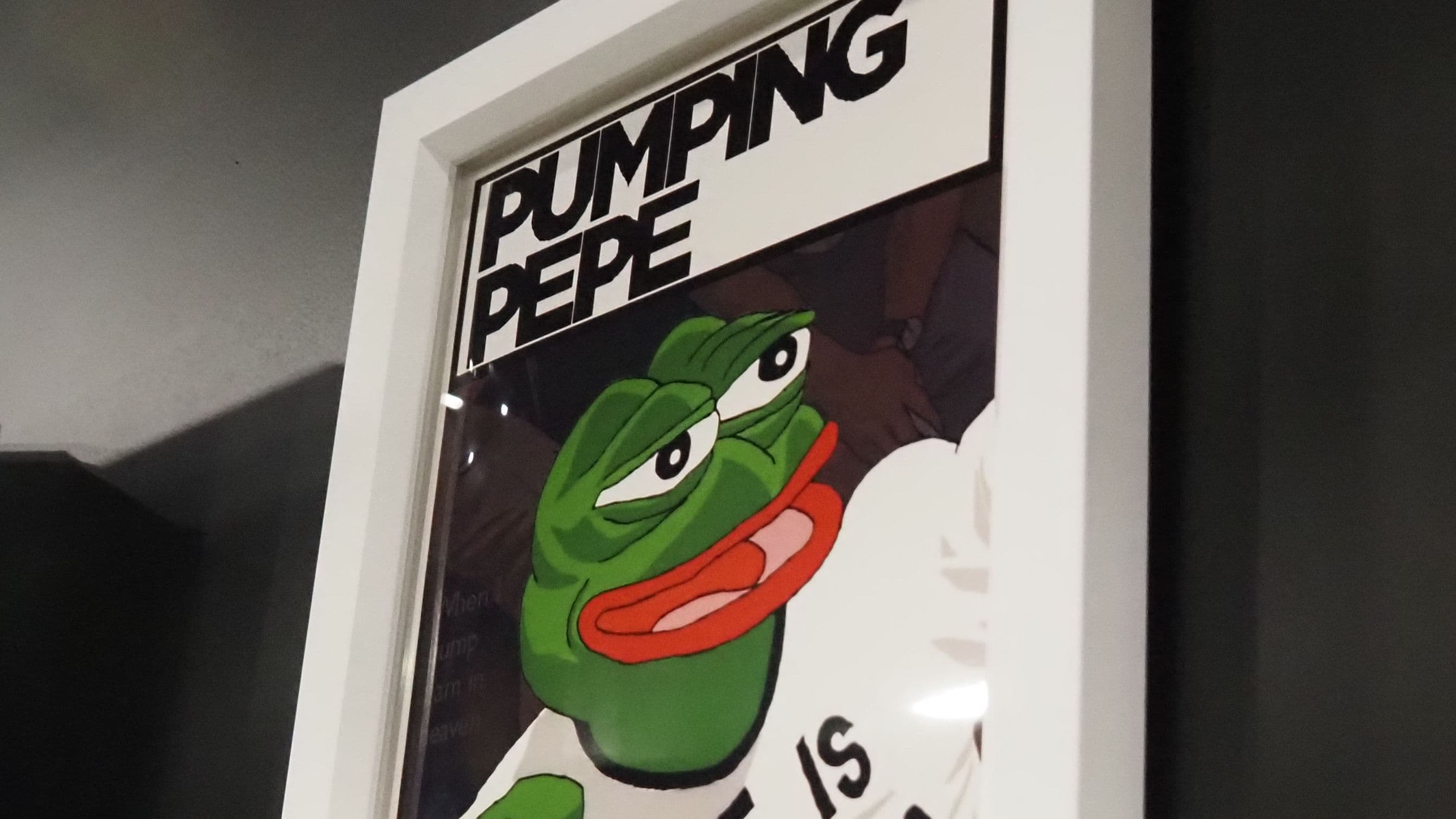 Pepe the Frog Meme Gallery (Danny Nelson/CoinDesk)