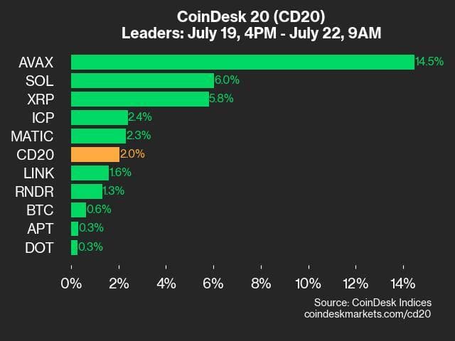 9am CoinDesk 20 Update for 2024-07-22 - leaders