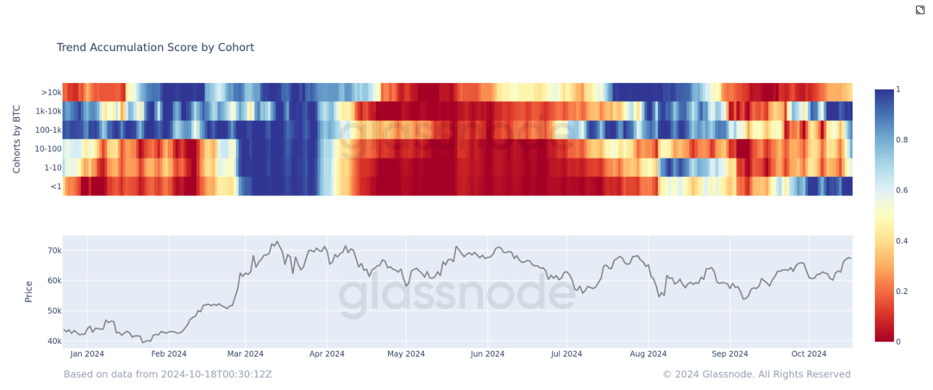 Trend Accumulation Score by Cohort (Glassnode)