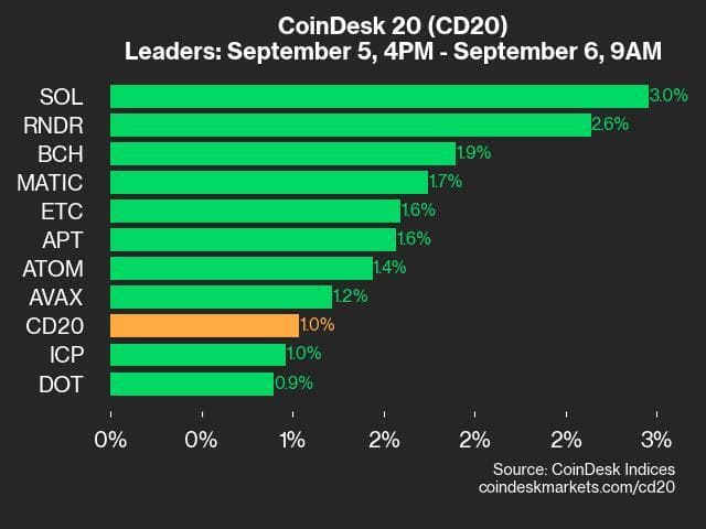 9am CoinDesk 20 Update for 2024-09-06: leaders