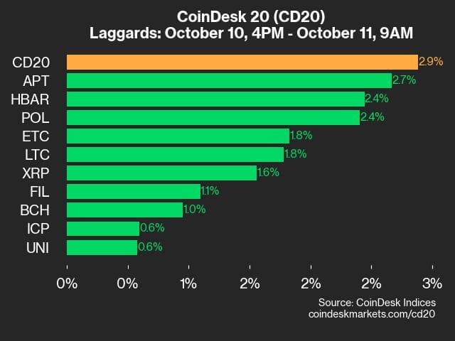 9am CoinDesk 20 Update for 2024-10-11: laggards