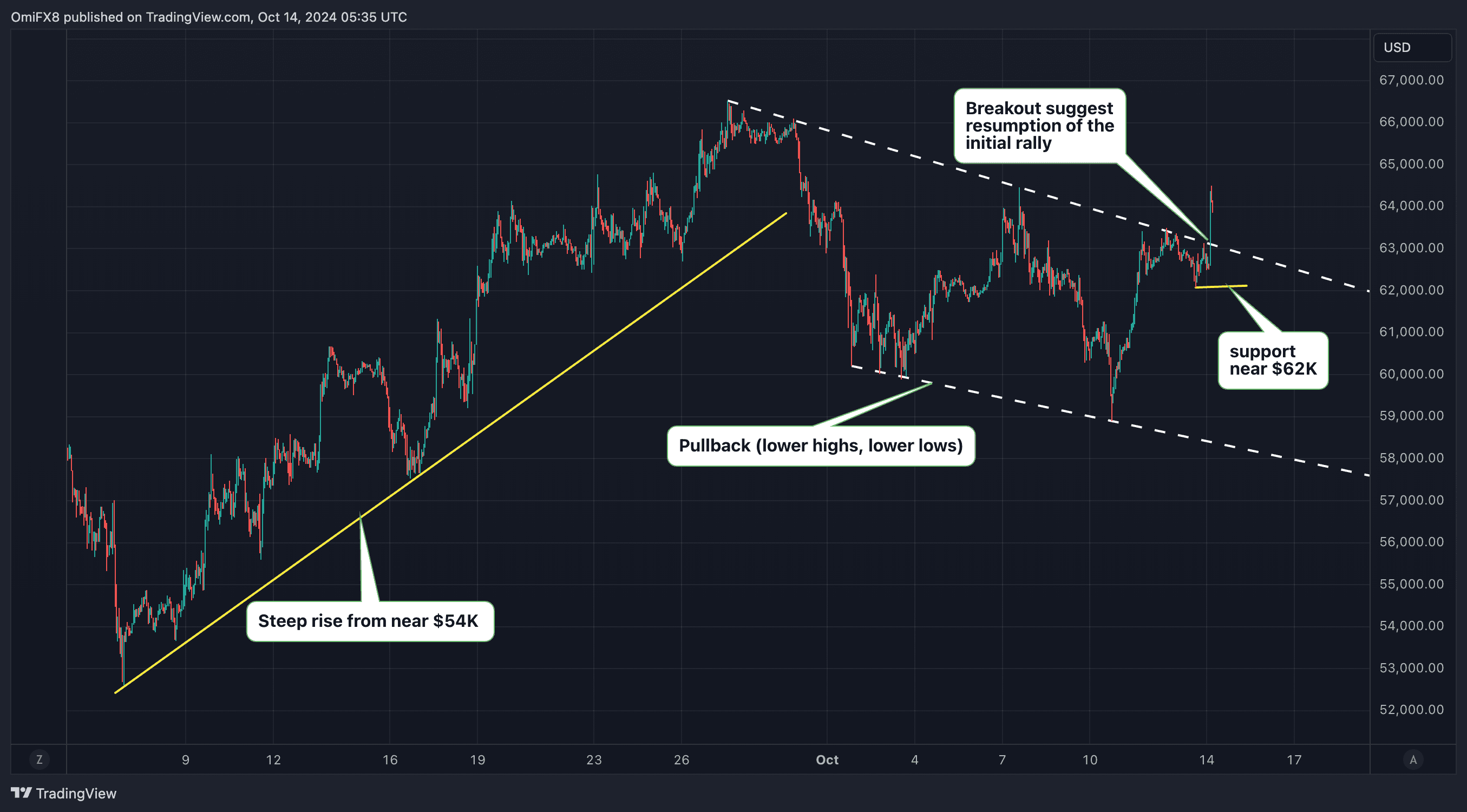 Bitcoin's hourly candlesticks chart. (TradingView)