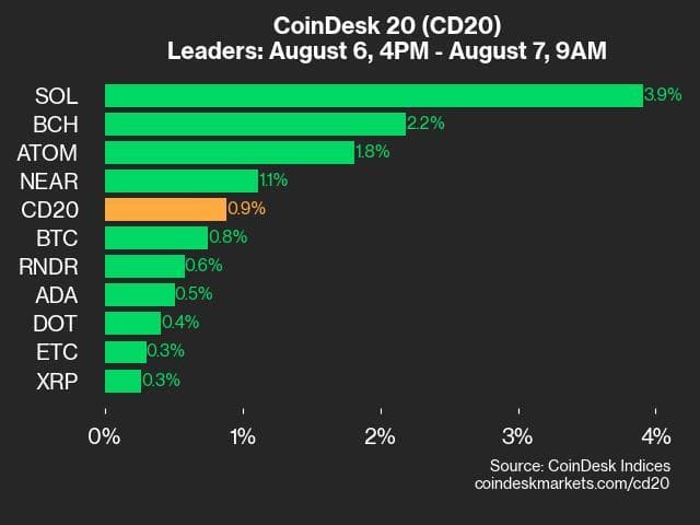 9am CoinDesk 20 Update for 2024-08-07: leaders