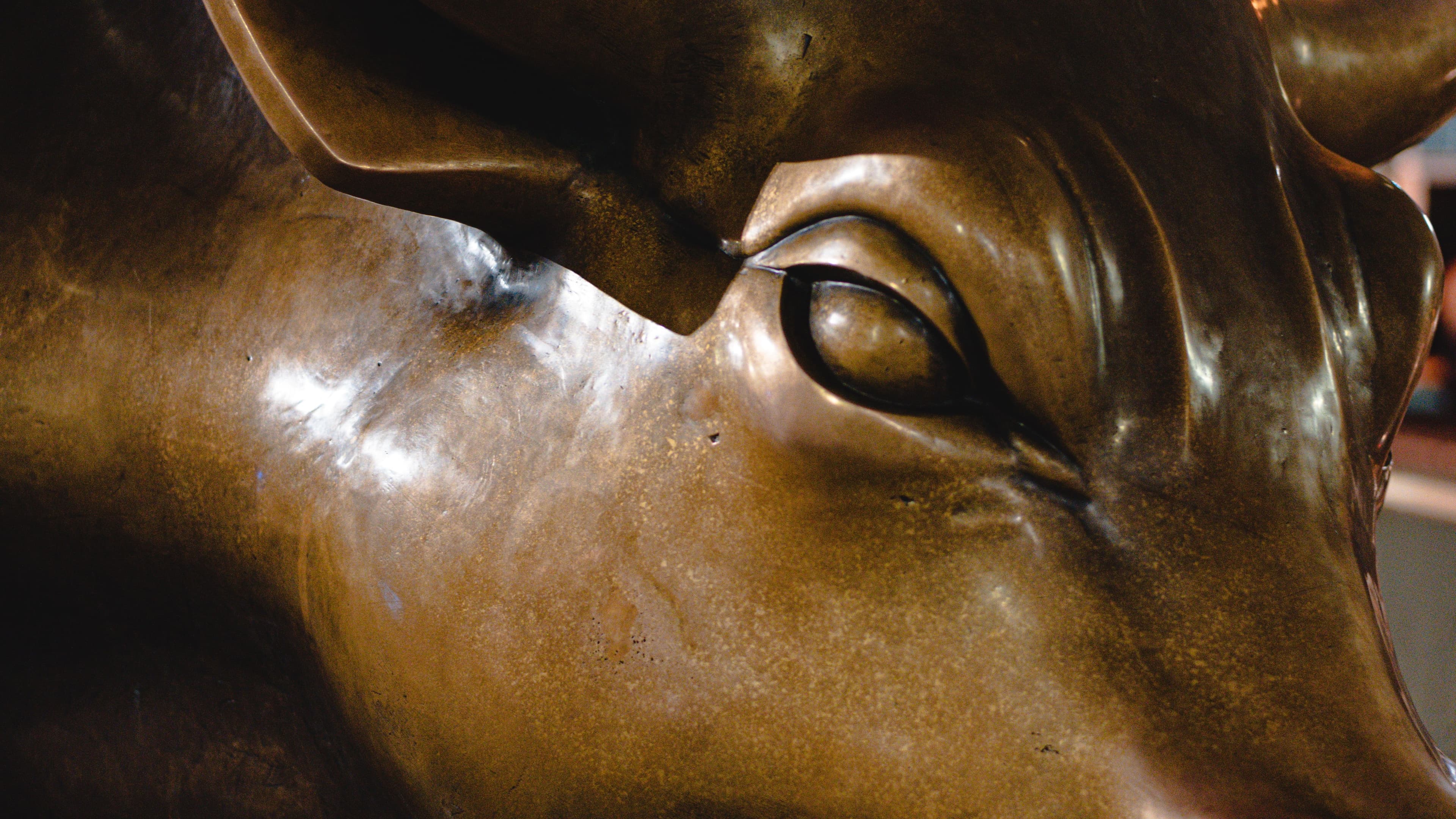 16:9 crop metal bull head close up