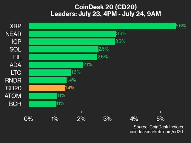 9am CoinDesk 20 Update for 2024-07-24 - leaders