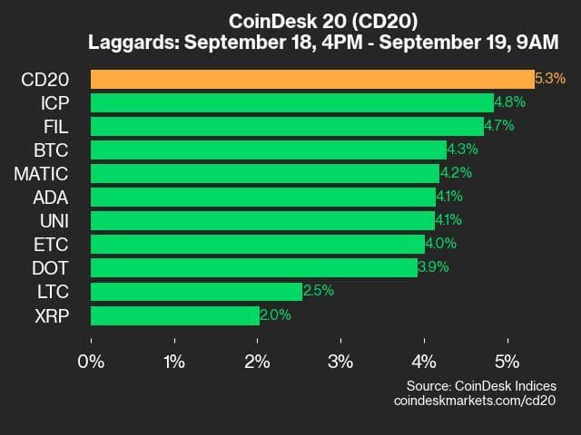 9am CoinDesk 20 Update for 2024-09-19: laggards