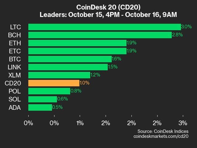 9am ET CoinDesk 20 Update for 2024-10-16: leaders