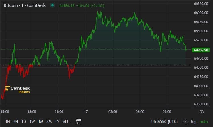 BTC price, FMA July 17 2024 (CoinDesk)