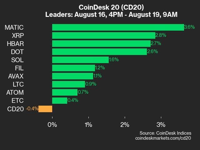 9am CoinDesk 20 Update for 2024-08-19: leaders