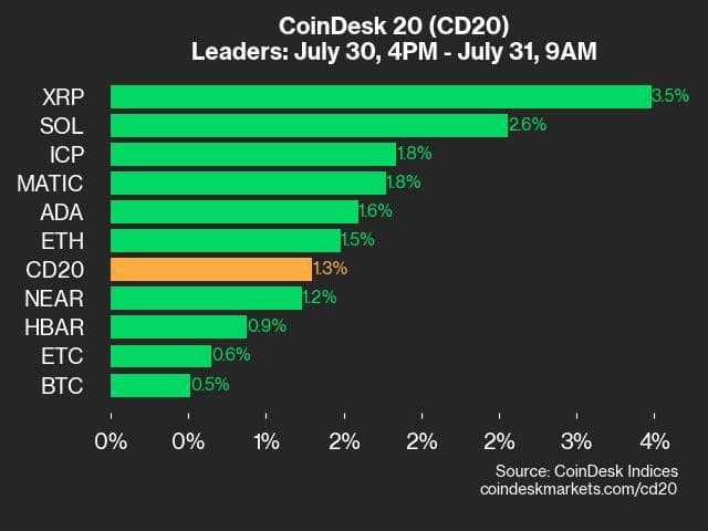 9am CoinDesk 20 Update for 2024-07-31: Leaders