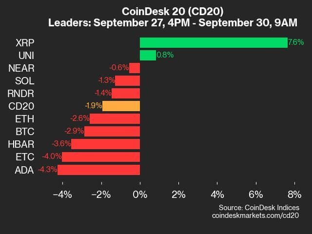 9am CoinDesk 20 Update for 2024-09-30: Leaders