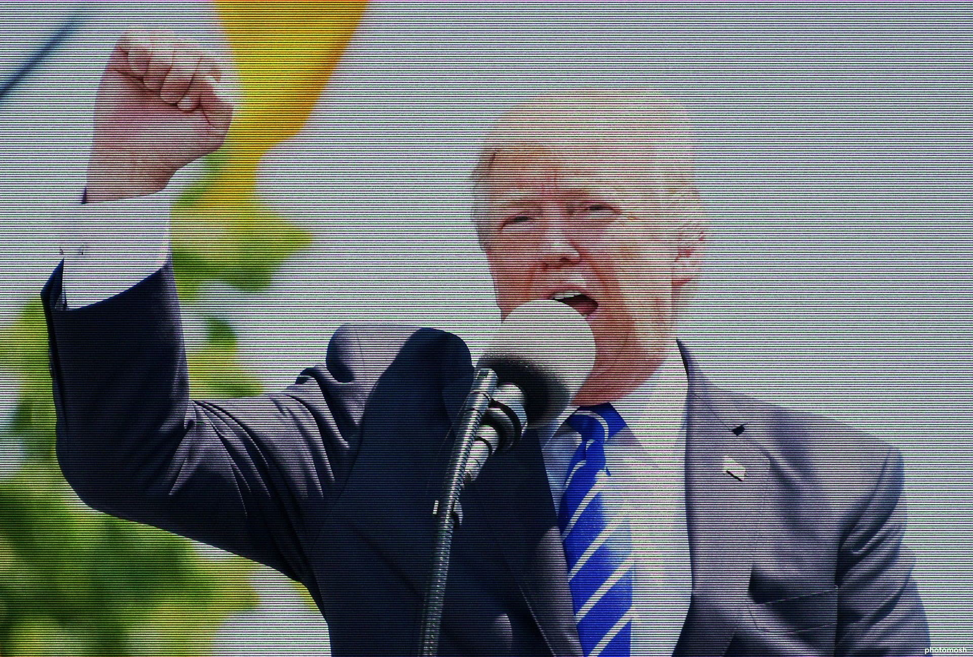 Trump at rally, public Domain