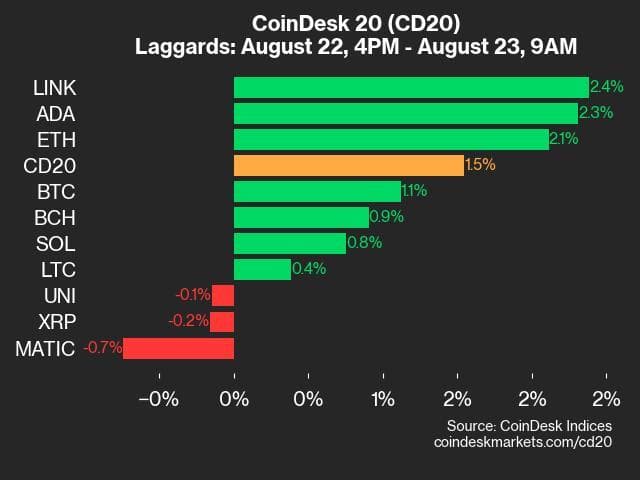 9am CoinDesk 20 Update for 2024-08-23: laggards