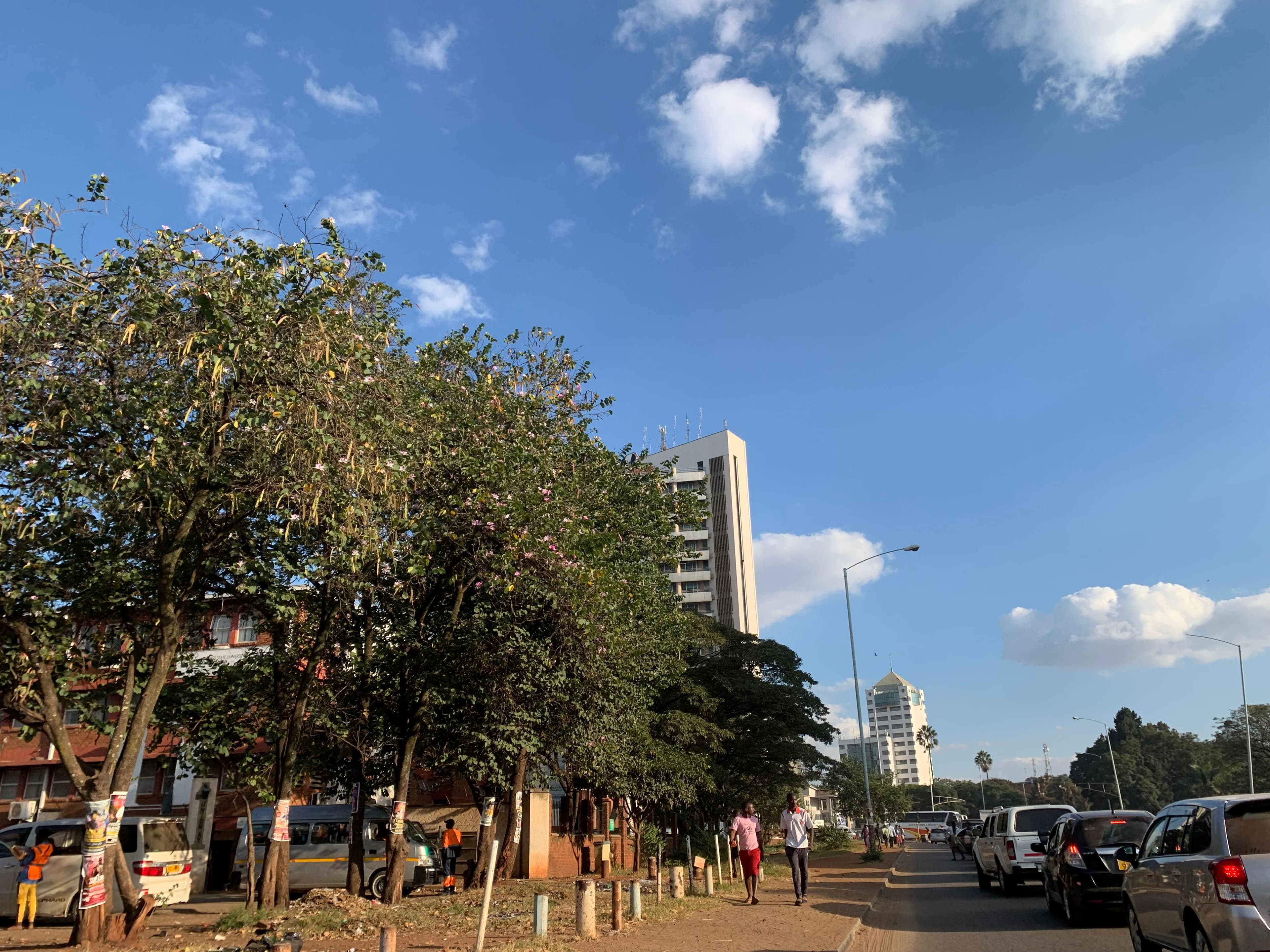 Zimbabwe, Harare (Camomile Shumba)