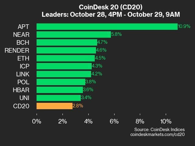 9am CoinDesk 20 Update for 2024-10-29: leaders