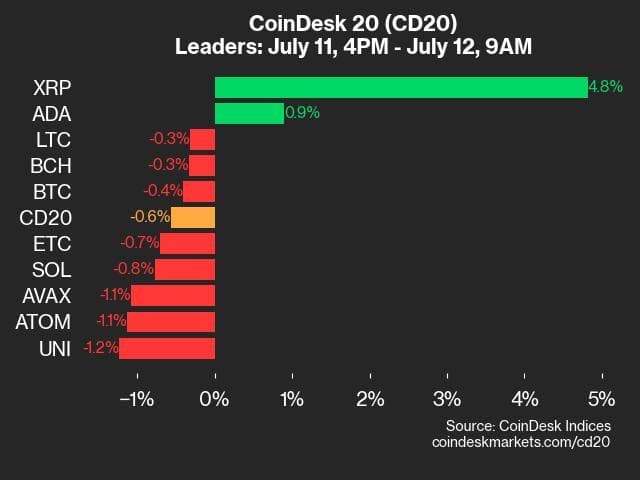 9am CoinDesk 20 Update for 2024-07-12 - leaders