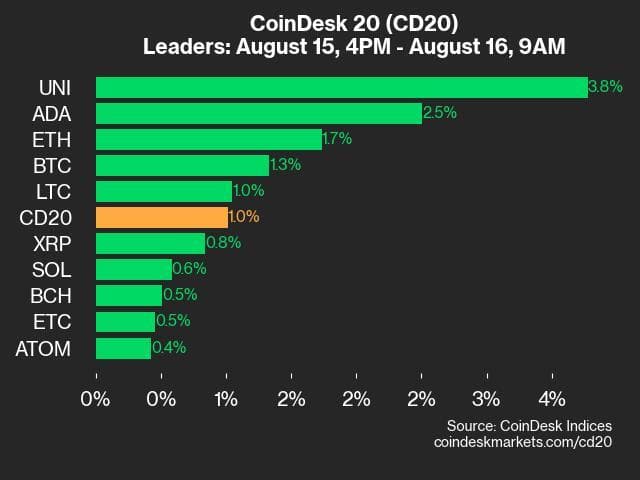 9am CoinDesk 20 Update for 2024-08-16: leaders