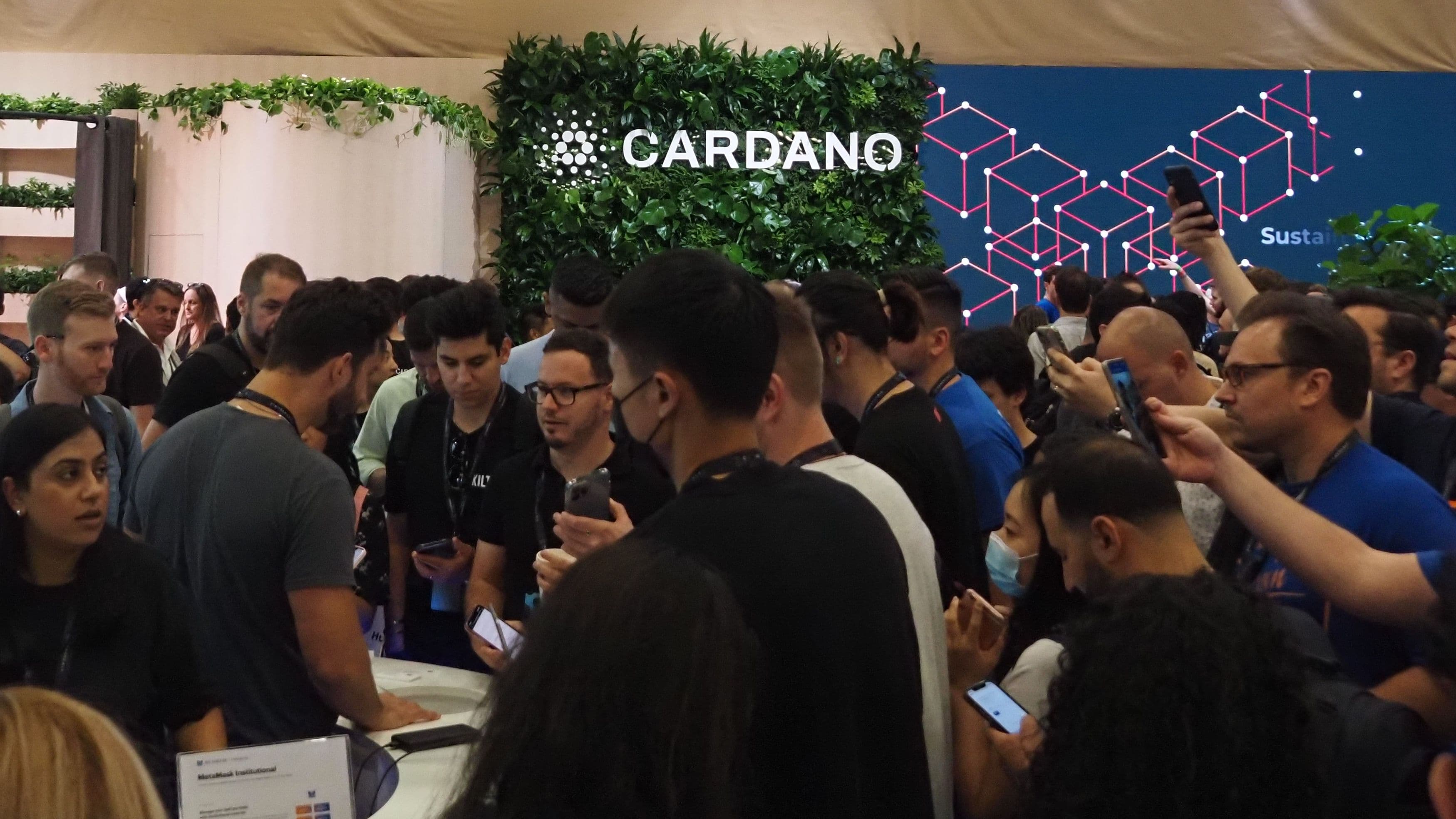 Cardano