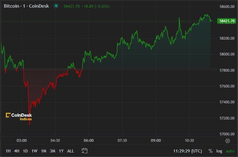 BTC price, FMA July 11 2024 (CoinDesk)