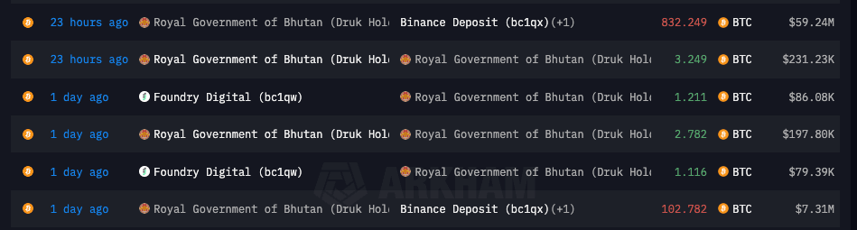 Royal Government of Bhutan (Druk Holdings) (Arkham Intelligence)