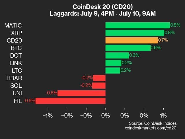 9am CoinDesk 20 Update for 2024-07-10 - laggards