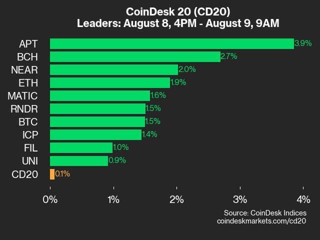 9am CoinDesk 20 Update for 2024-08-09: leaders