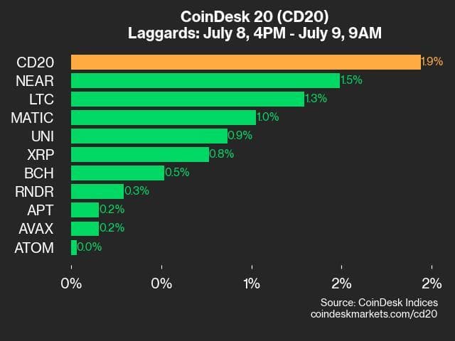 9am CoinDesk 20 Update for 2024-07-09 - laggards