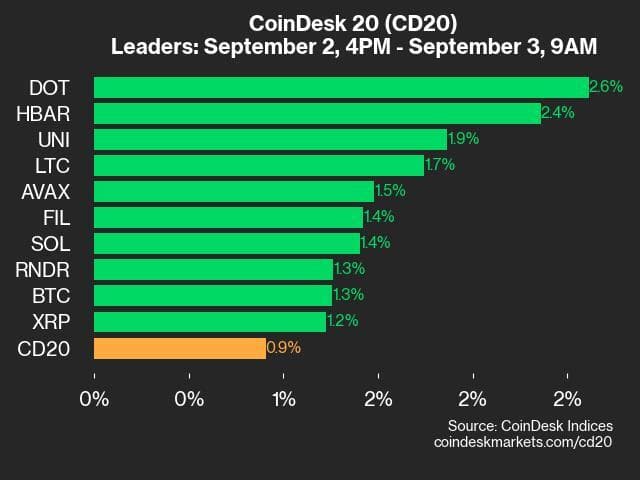 9am CoinDesk 20 Update for 2024-09-03: leaders