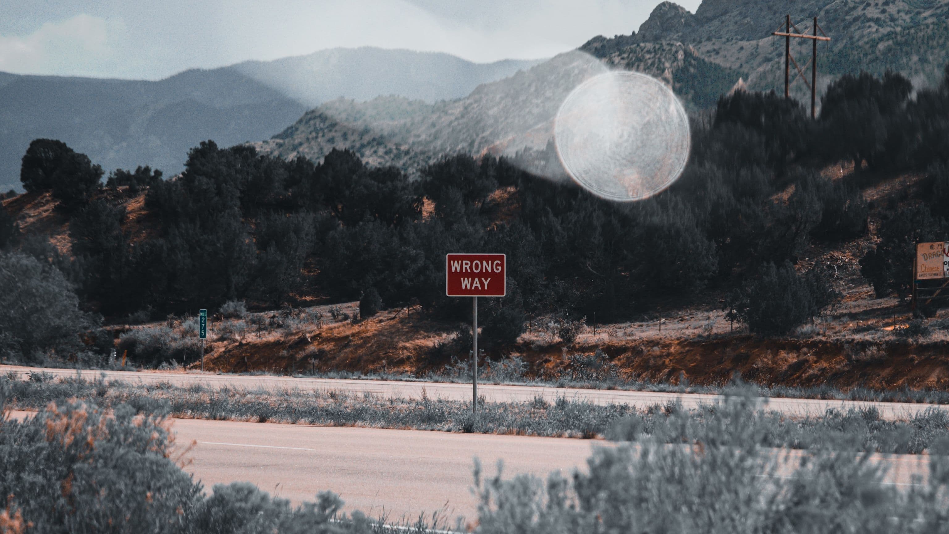 16:9CROP wrong way sign (Logan Weaver/Unsplash)