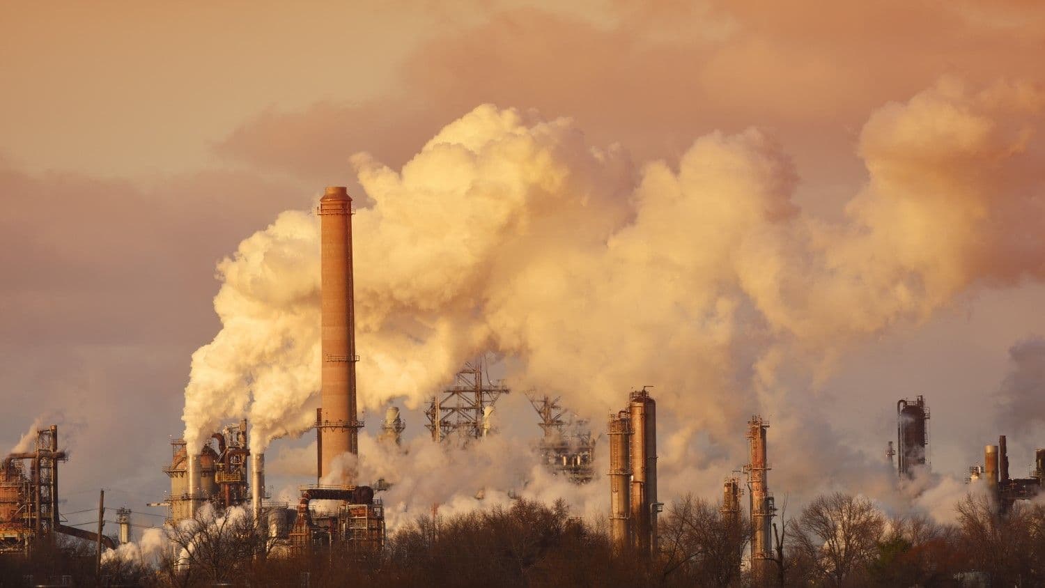 Carbon emissions (Susan Santa Maria/Shutterstock)