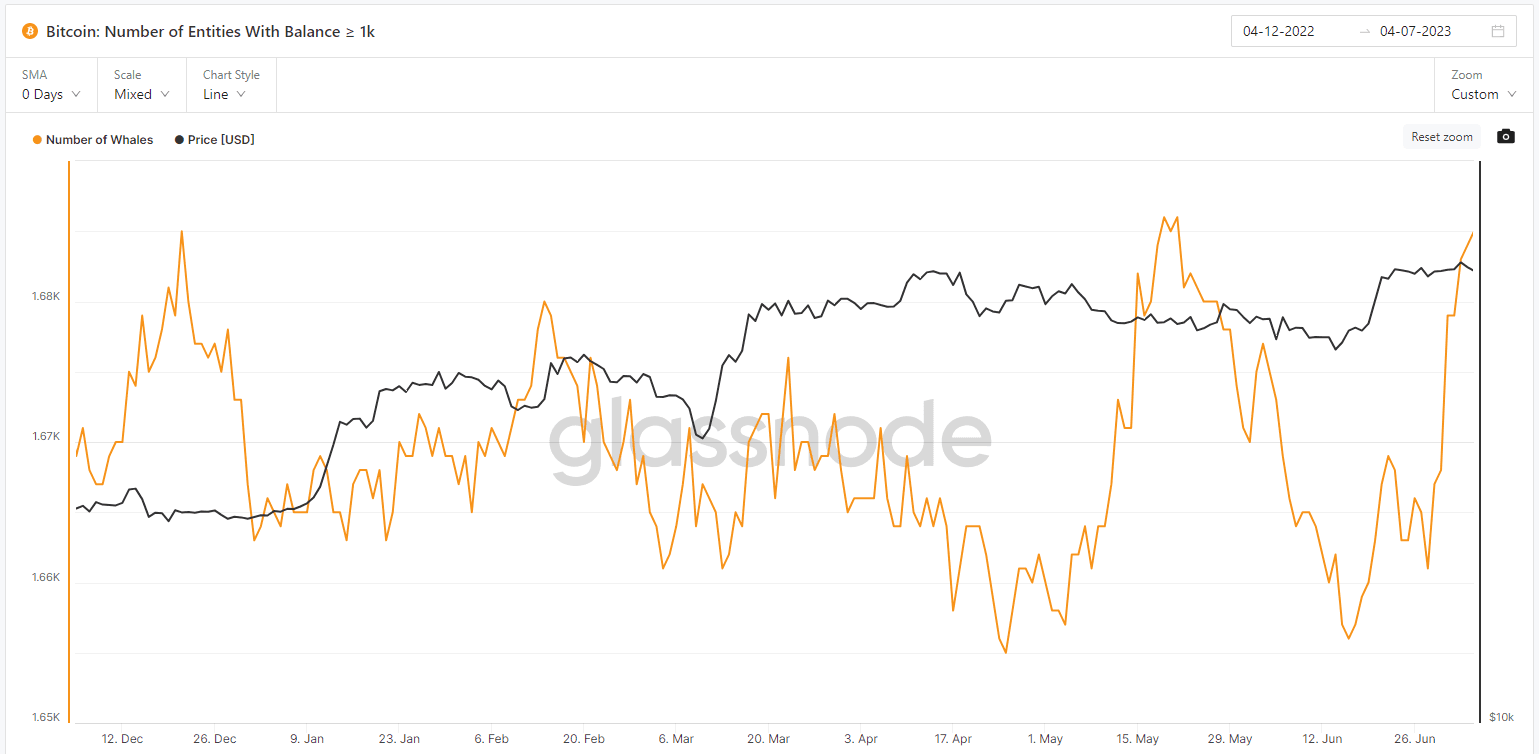 Bitcoin Whales (Glassnode)