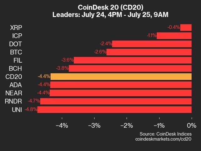 9am CoinDesk 20 Update for 2024-07-25 - leaders