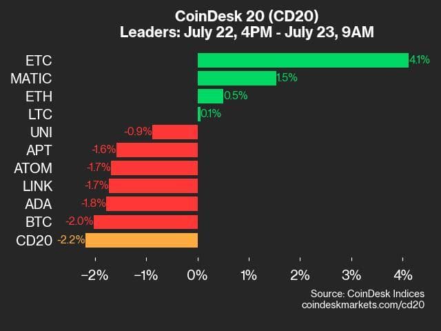 9am CoinDesk 20 Update for 2024-07-23 - leaders