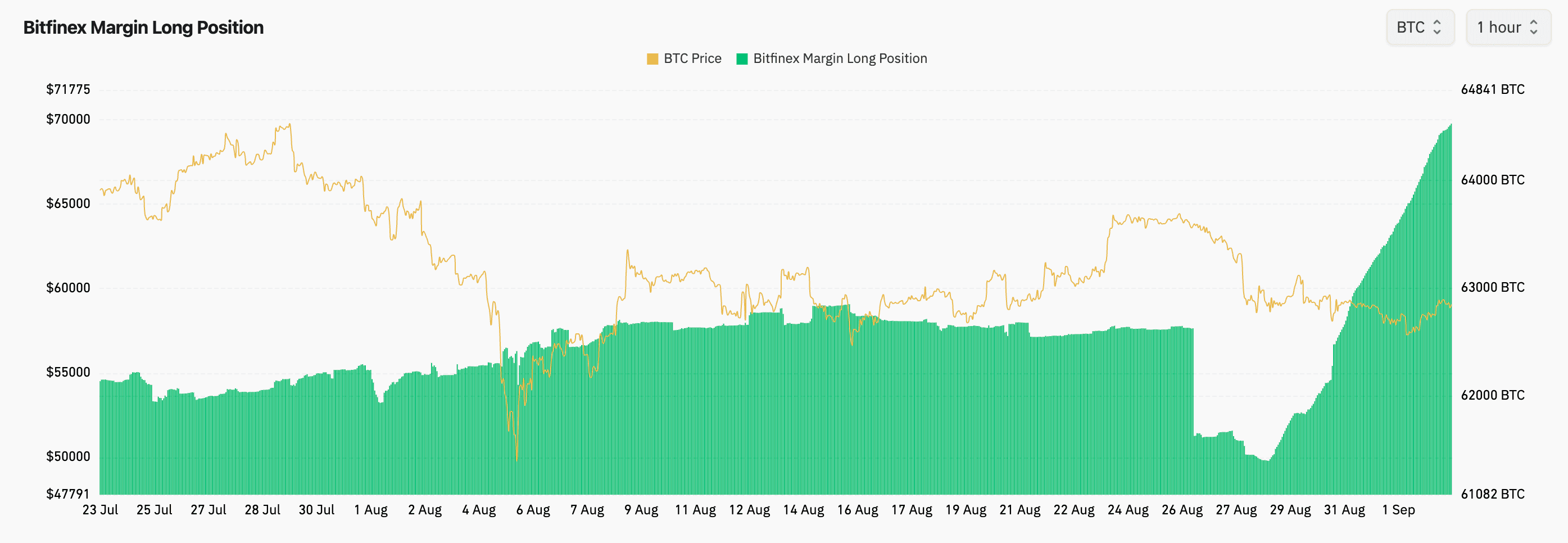 BTC margin longs on Bitfinex. (Coinglass)