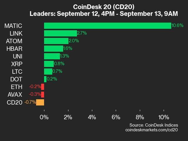 9am CoinDesk 20 Update for 2024-09-13: leaders