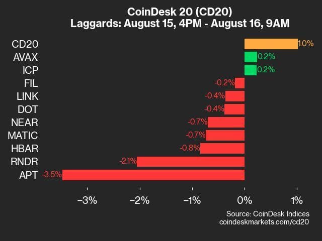 9am CoinDesk 20 Update for 2024-08-16: laggards